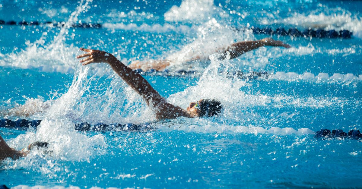 Action shot of swimmers competing in a pool race, displaying athletic skill.
